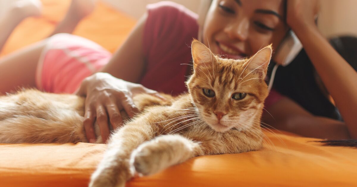 A ginger cat lies on a sofa with a lady looking over them.